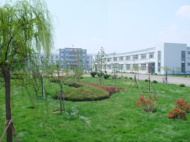 歡樂奧龍人，激昂青春夢(mèng)